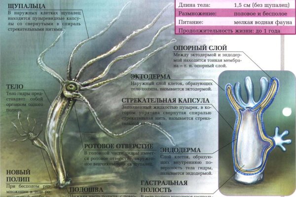 Список луковых tor сайтов