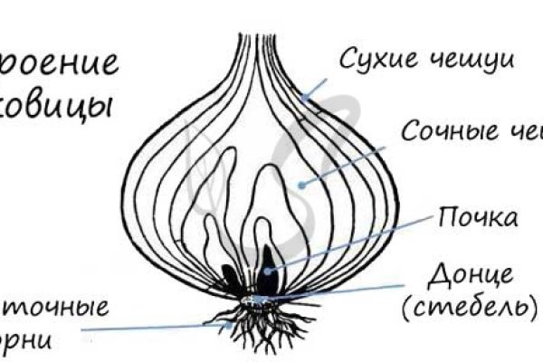 Маркетплейс кракен kraken