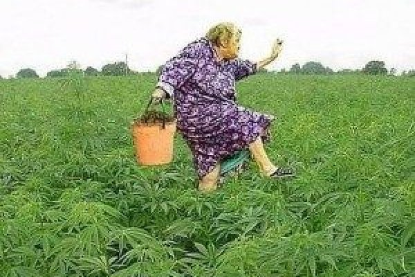 Адрес кракена