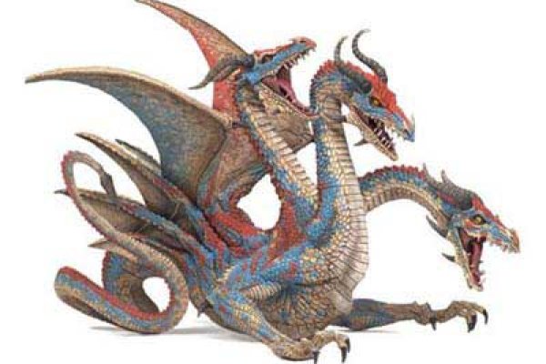 Пользователь не найден кракен что делать