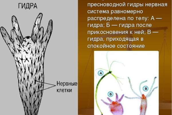 Кракен сайт бошки